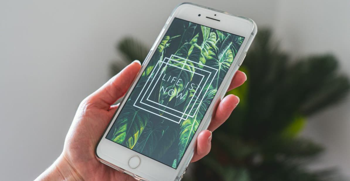 Busque fotos HD agora: bot inteligente no Telegram