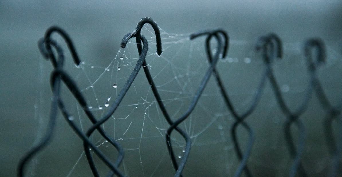 Encuentra fotos HD geniales para tus proyectos