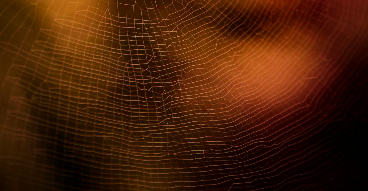 Encuentra fotos HD geniales para tus proyectos