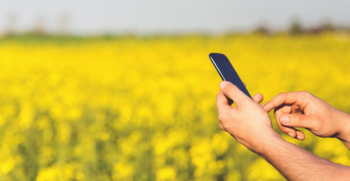 Find Stunning HD Stock Photos in Telegram
