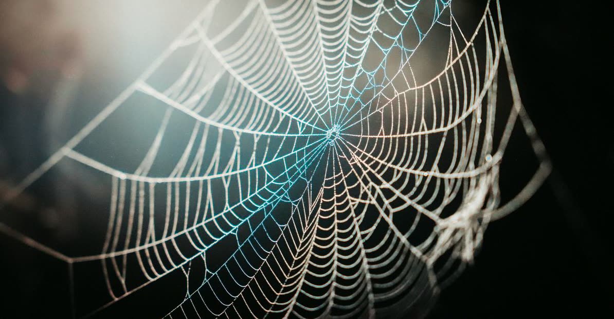 Imágenes Rápidas: Optimiza tus fotos al instante