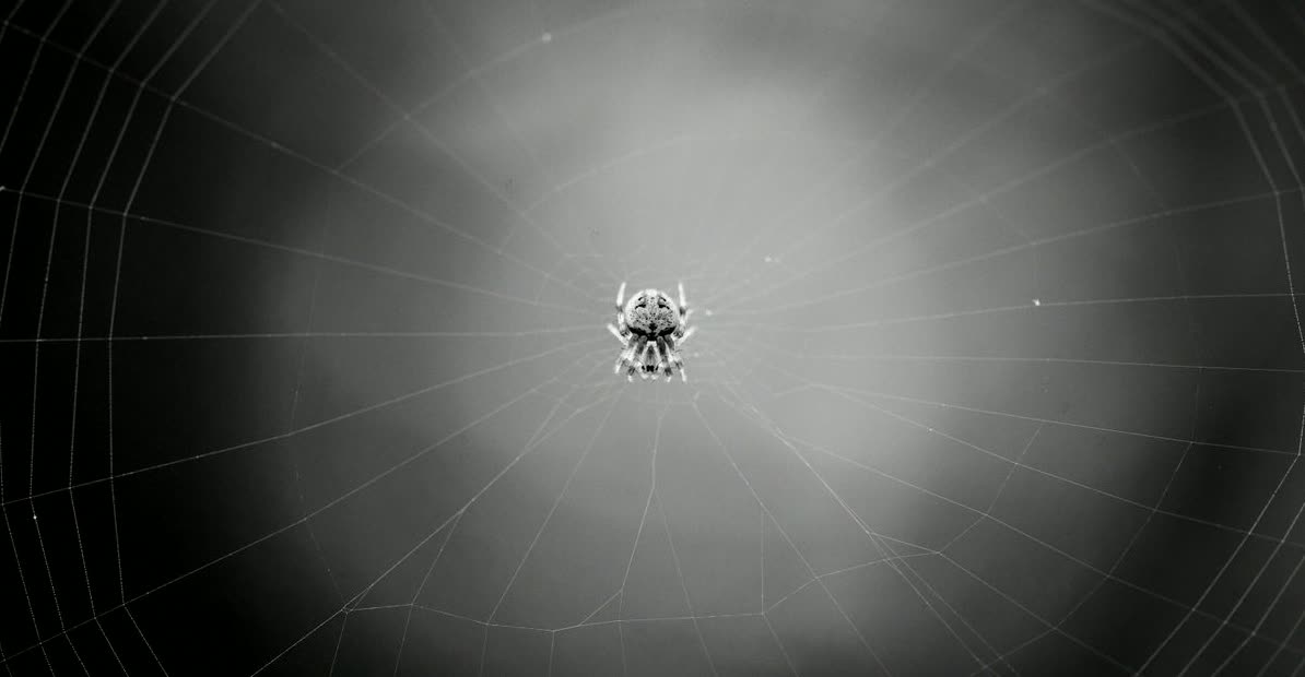Optimiza tus Imágenes para la Web